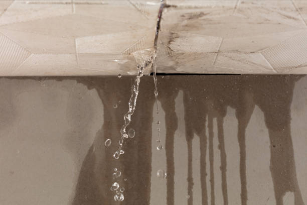 Professional Sewage Cleanup technician working in Hobson, TX